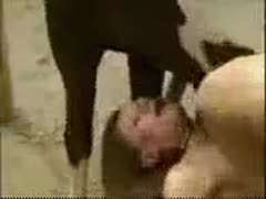 This captivating xxx beast fetish movie has an amazing married hussy being drilled by a horse.